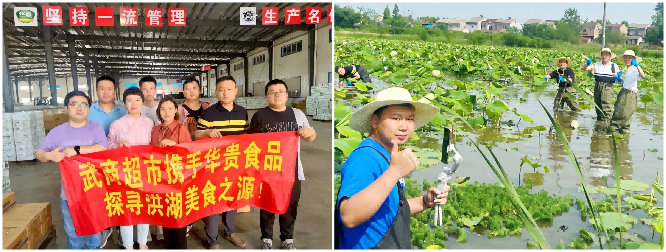 AG8�콢����(�й�)������ҳ