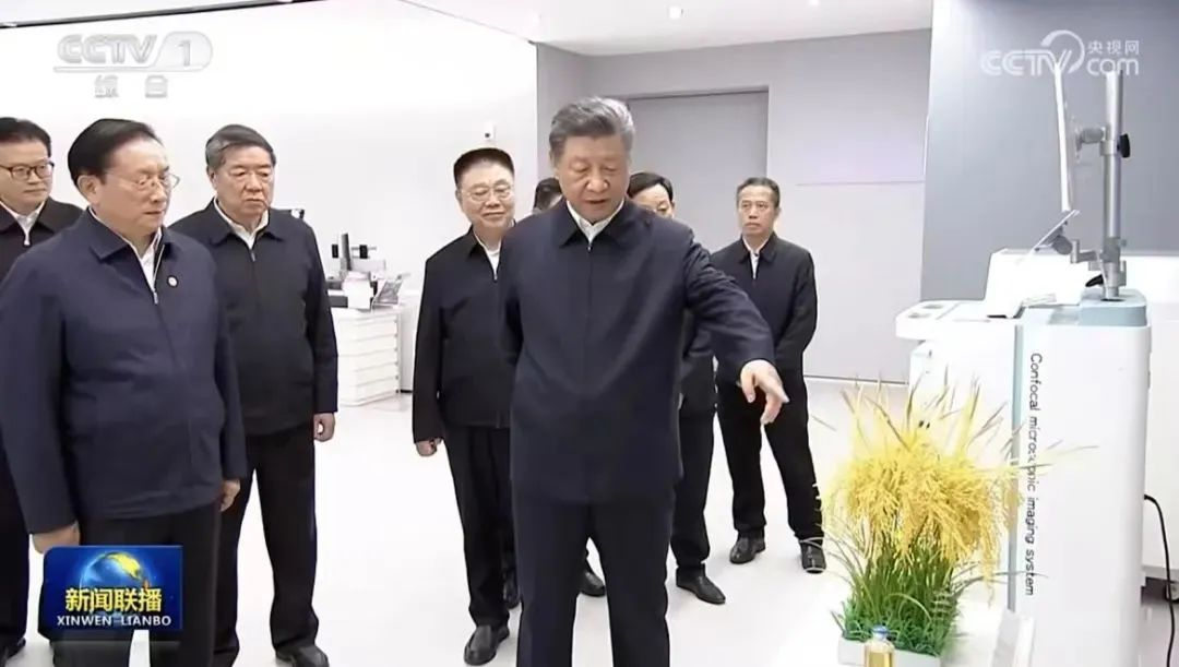 AG8�콢����(�й�)������ҳ