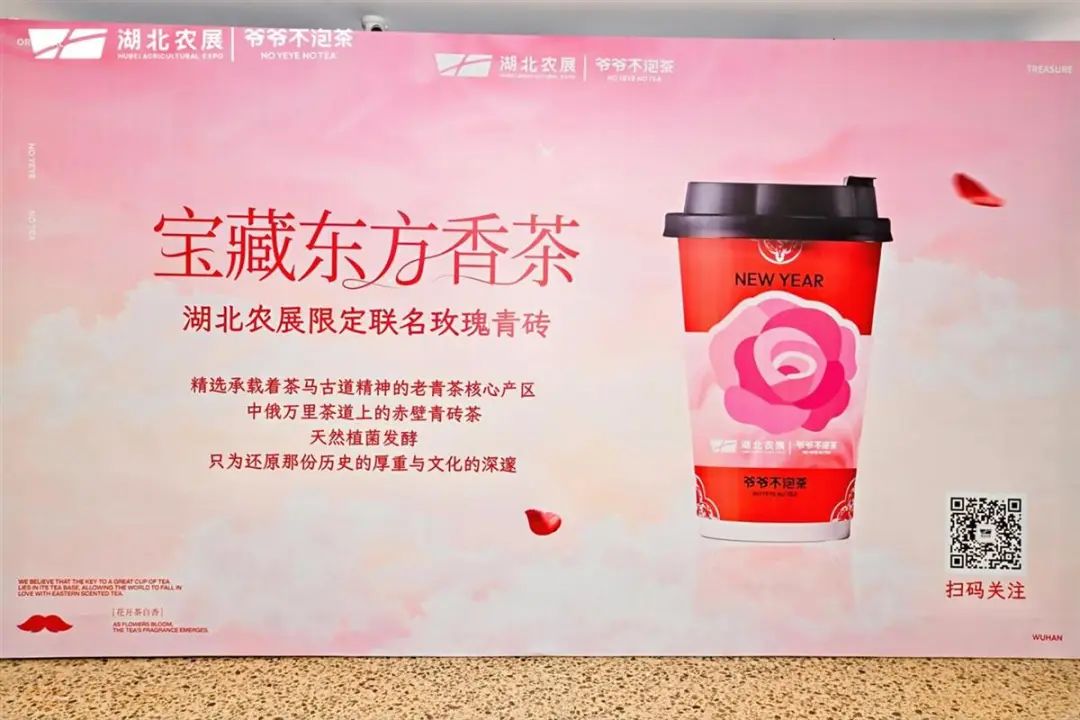 AG8�콢����(�й�)������ҳ